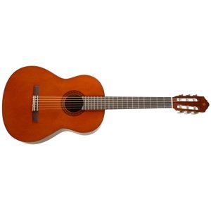 Yamaha CS40
