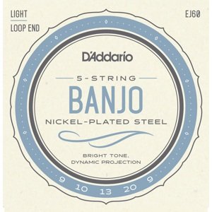 D'Addario EJ60