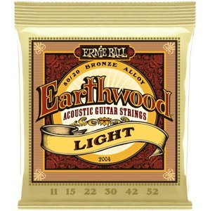 Ernie Ball 2004 Earthwood 80/20 Bronze Light