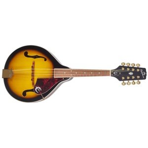 Epiphone MM-30S AS