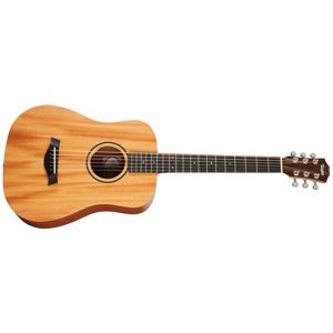 Taylor BT2