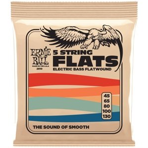 Ernie Ball 2810 5-String Flats Flatwound Electric Bass 45-130