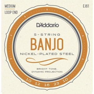 D'Addario EJ61