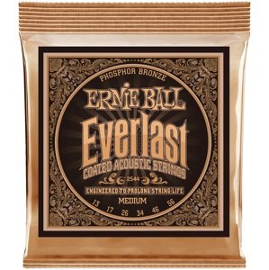 Ernie Ball 2544 Everlast Phosphor Bronze Medium