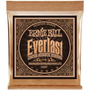 Ernie Ball 2548 Everlast Phosphor Bronze Light