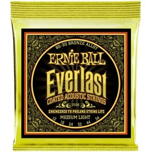 Ernie Ball 2556 Everlast 80/20 Bronze Medium Light