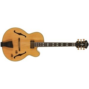 Ibanez PM200 Natural