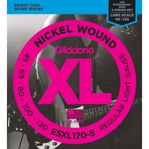 D'Addario ESXL170-5 double ball