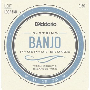 D'Addario EJ69