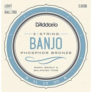 D'Addario EJ69B