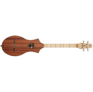 Seagull M4 Natural Mahogany SG