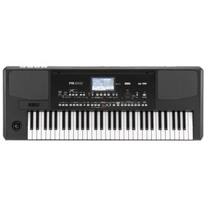 Korg Pa300