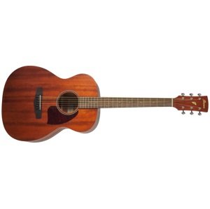 Ibanez PC12MH Natural