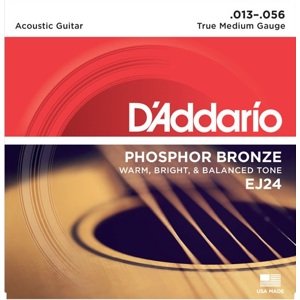 D'Addario EJ24