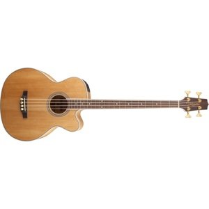 Takamine GB72CE-NAT