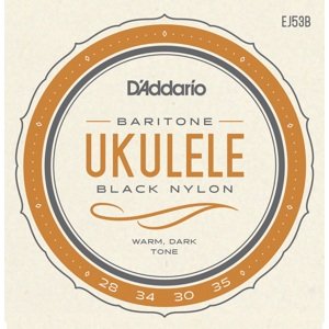 D'Addario EJ53B