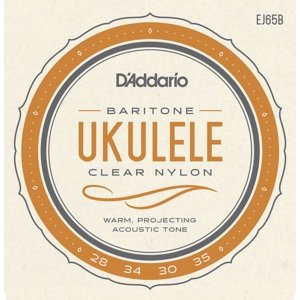 D'Addario EJ65B