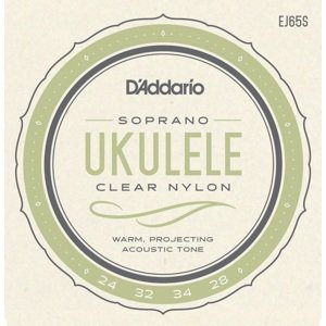 D'Addario EJ65S