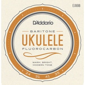 D'Addario EJ99B