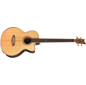 Ortega Stripedsu ACB