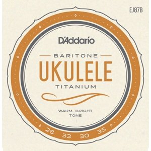 D'Addario EJ87B