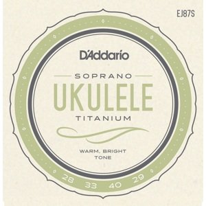 D'Addario EJ87S