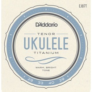 D'Addario EJ87T