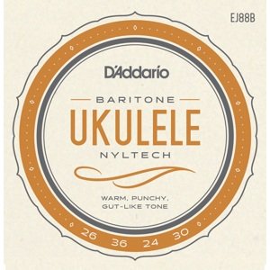 D'Addario EJ88B