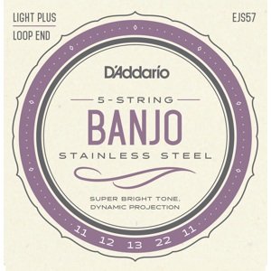 D'Addario EJS57
