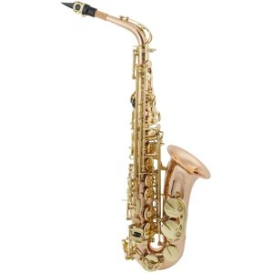 Arnolds & Sons AAS-100G