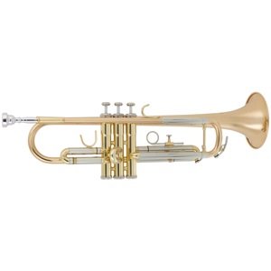 Arnolds & Sons ATR-4200G Terra