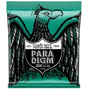Ernie Ball 2026 Paradigm Not Even Slinky