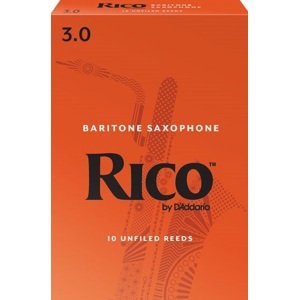 Rico D'Addario Baritone Sax 2, 10