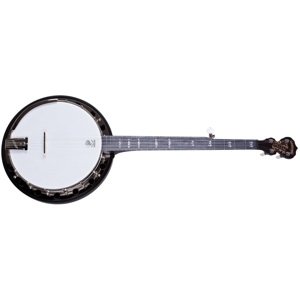 Deering Artisan Goodtime Special Banjo