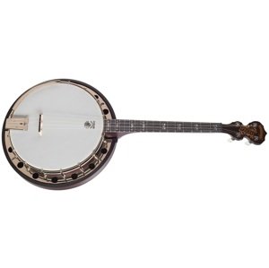 Deering Artisan Goodtime Special 17-Fret Tenor