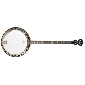 Deering Sierra Plectrum