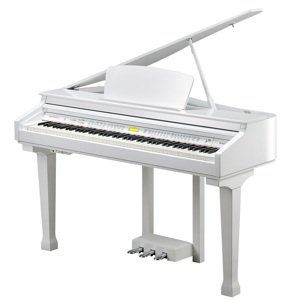 Kurzweil KAG100 WHP