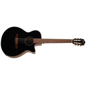 Ibanez AEG50NH Black