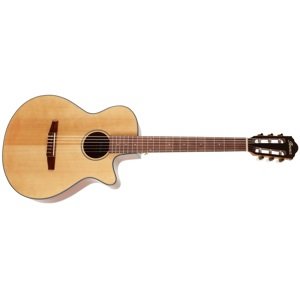 Ibanez AEG50N Natural