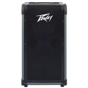 Peavey Max 208