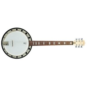 Deering Goodtime Six Resonator