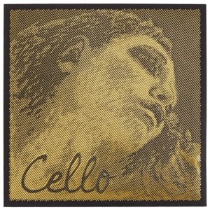 Pirastro Evah Pirazzi Gold Vcl Set medium