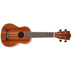 Flight NUS200 Natural