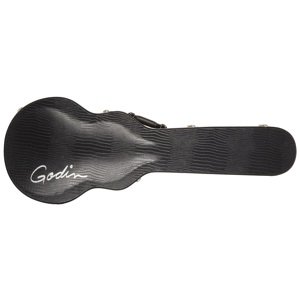 Godin Case Summit/Core