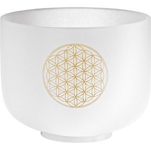 Meinl Sonic Energy CSB8FOL