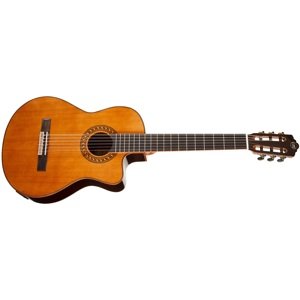 Tanglewood EM DC 5