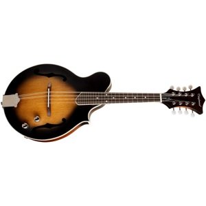 Tanglewood TWMF VS E