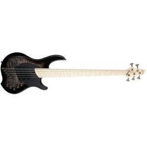 Dingwall Combustion 5 MN Black Burst