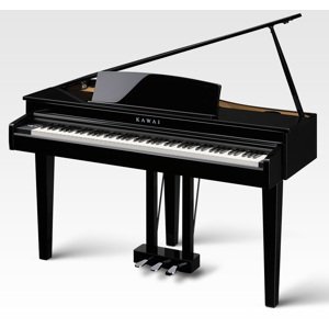 Kawai DG30