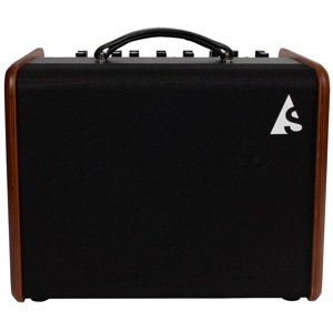 Godin Acoustic Solutions ASG-8 120 Wood